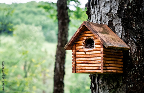 wooden bird house © Joy Newcomb