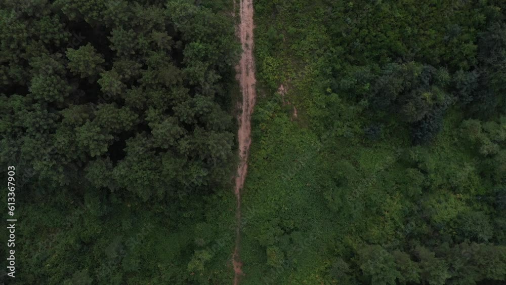 Aerial shot of a lush forest in Riva, Istanbul, Türkiye