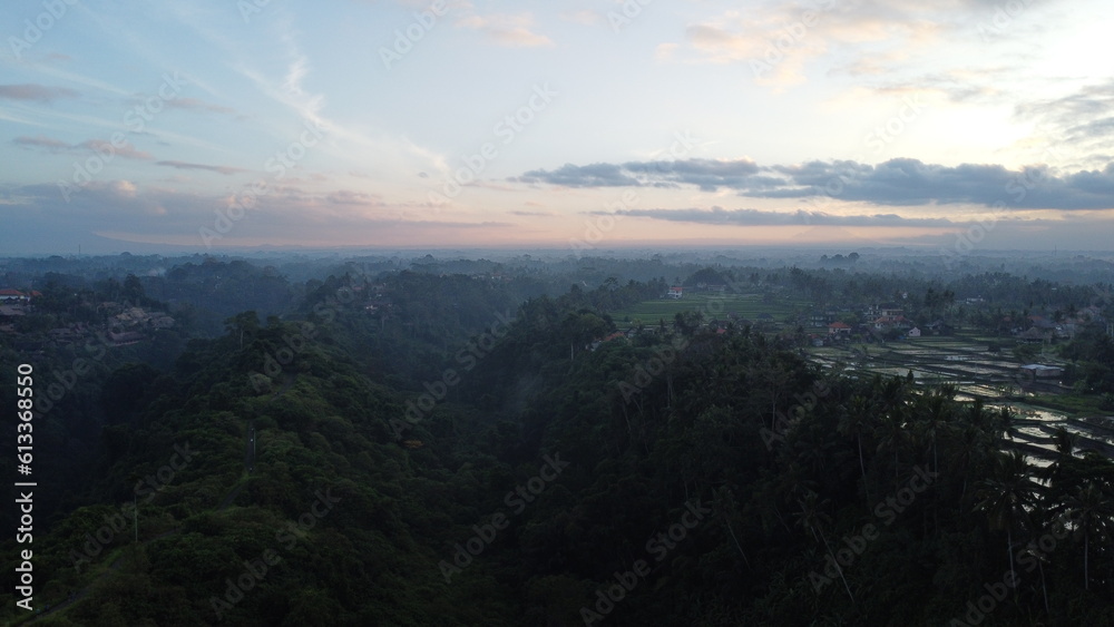 Ubud Morning View From Above