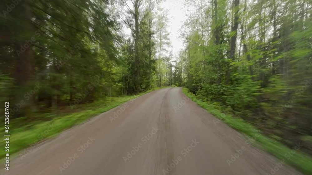 The car drives through a forested area, where the road cuts through the dense foliage. On either side of the road, expansive fields stretch out, adding a touch of openness to the scenery. The car drives through a forested area, where the road cuts through the dense foliage. On either side of the road, expansive fields stretch out, adding a touch of openness to the scenery.