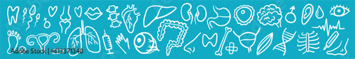 Horizontal pattern from a collection of human organs, hand-drawn in the style of a doodle