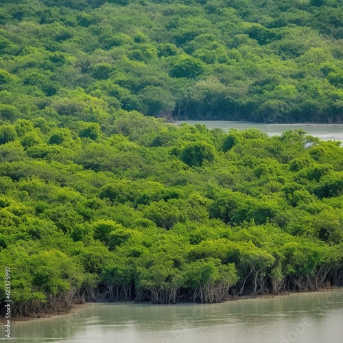 Mangroves and Wildlife at Sundarbans National Park