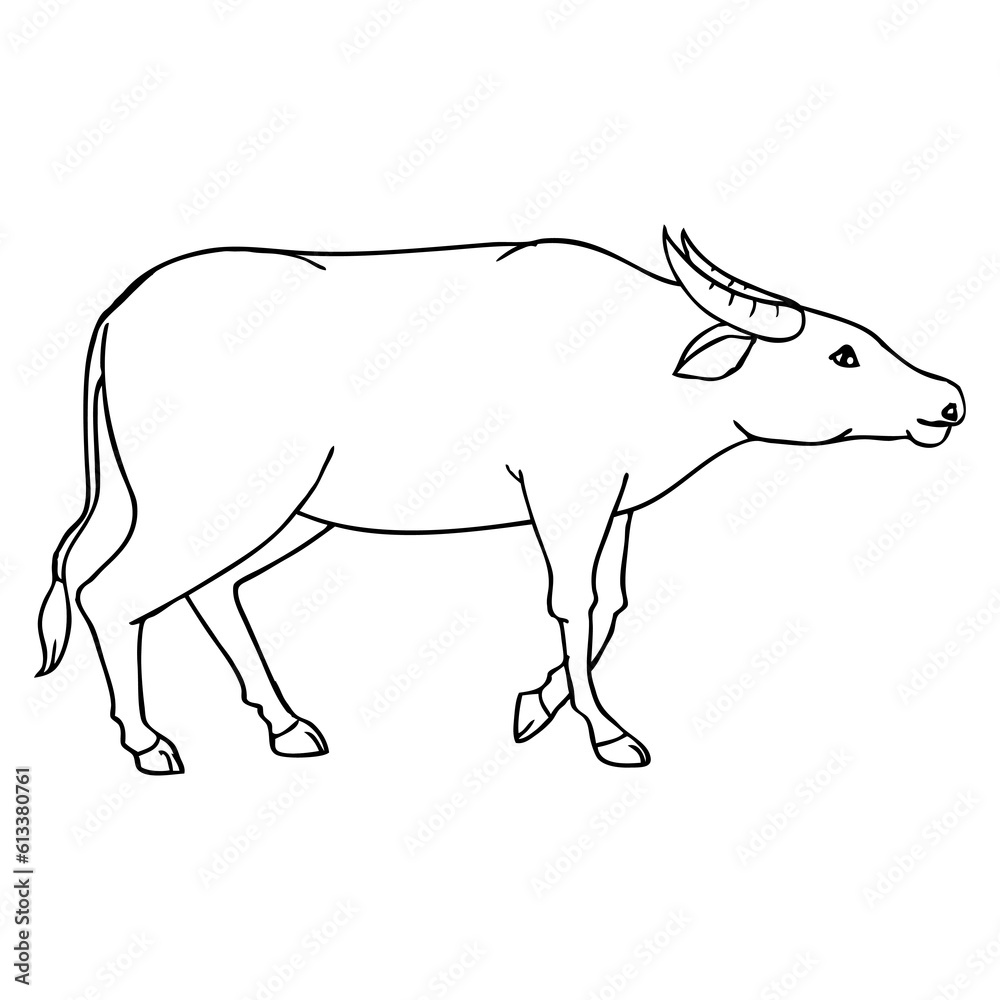 buffalo line vector illustration
