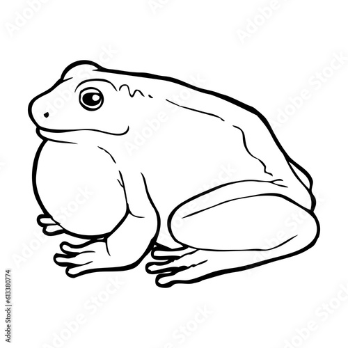 frog outline vector illustration