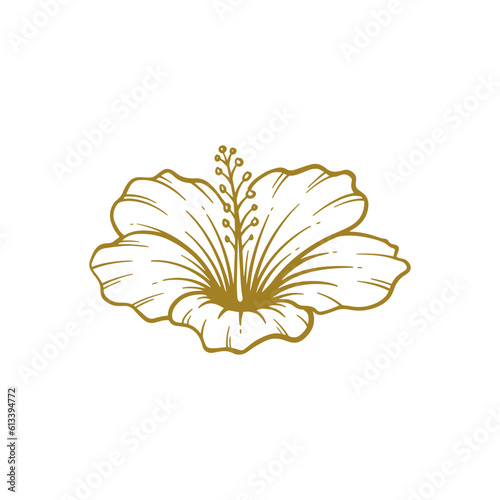 Hand drawn hibiscus flower. Hibiscus flower line art vector illustration