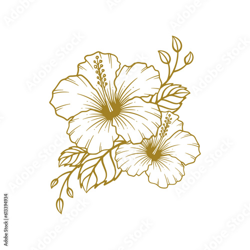 Hand drawn hibiscus flower. Hibiscus flower line art vector illustration
