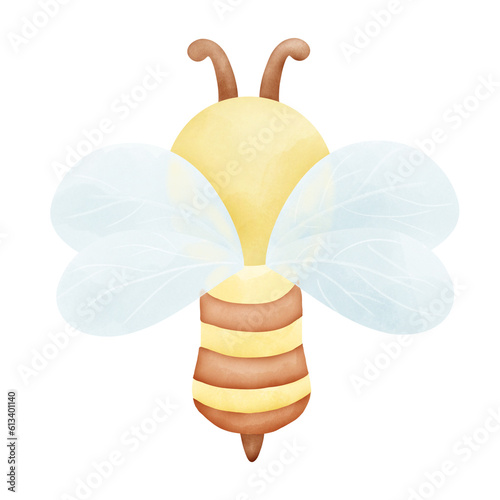Bee, back, isolated
