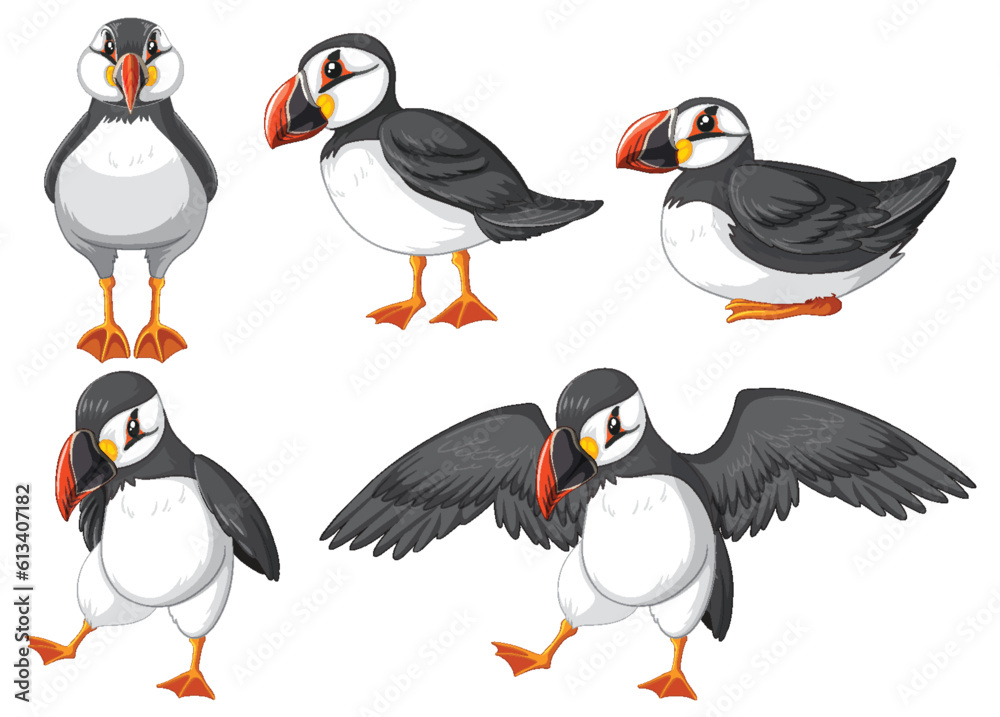 Fototapeta premium Puffin birds in cartoon style