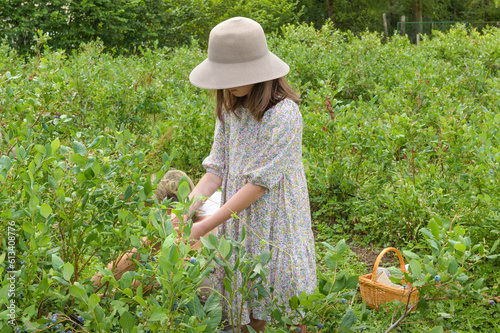 A teenage girl in a wide-brimmed hat in a blueberry field. Harvest in summer. Portrait at work in the field photo