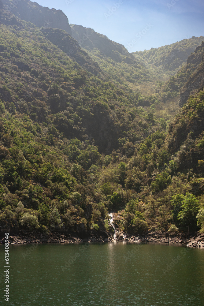 natural landscape of a mountain valley slope full of vegetation and trees with a stream flowing into the mouth of the river.