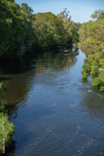 a rushing river with a stream between trees with green leaves