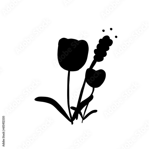 Tulip flower
