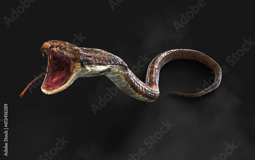 3d Illustration King Cobra The World's Longest Venomous Snake Isolated on Black Background, King Cobra Snake with Clipping Path