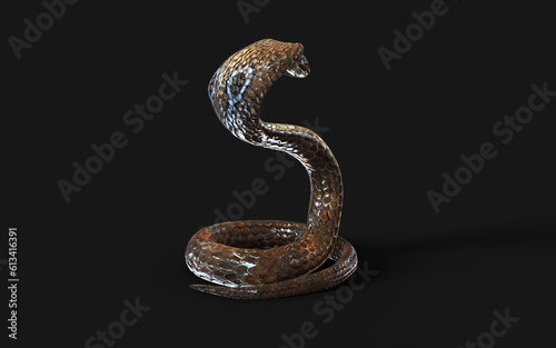 3d Illustration King Cobra The World's Longest Venomous Snake Isolated on Black Background, King Cobra Snake with Clipping Path