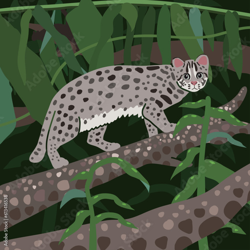 Vector Leopard cat in jungle handdraw illustration