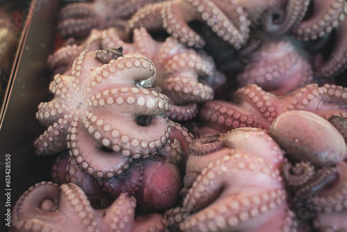 Octopus being sold in a fish market