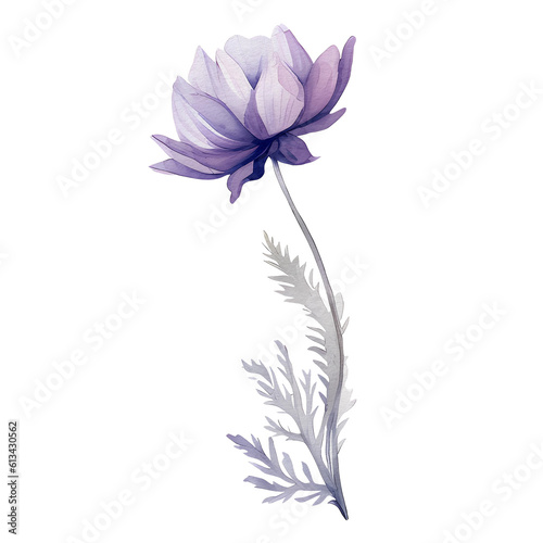 watercolor anemone flower  beautiful floral  AI Generative