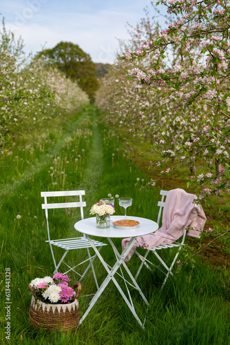 Fotografia Picnic at a bistro set in a blossoming apple orchard