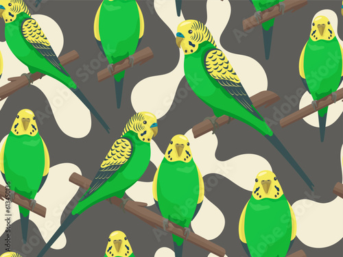 Vector parrots love seamless pattern. Cartoon cute colorful budgerigars sitting on branch. Talking bright budgie family on dark background. Creative style summer beach print