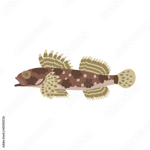 ニジカジカ。フラットなベクターイラスト。 Elkhorn sculpin. Flat designed vector illustration.