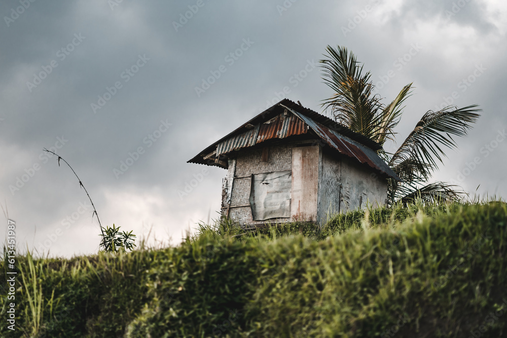 Photo of farmer barn on the rice field. Abandoned small house in nature green landscape Photo of farmer barn on the rice field. Abandoned small house in nature green landscape