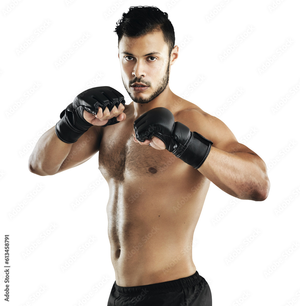 Fototapeta premium Isolated man, mma fighter and portrait for block, guard or training by transparent png background. Athlete, conflict or gloves for boxing club, punch or martial arts fight with fist, sport or fitness