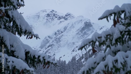 Amazing view of Pietrosul Rodnei summit through snow covered pine branches. Deep snowy landscape of Carpathian Mountains in winter. photo
