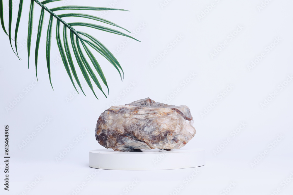 Marble stone on white cylinder pedestal podium with palm leaves over white background. Free space for your decoration, product presentation, mock up, cosmetic product display. 