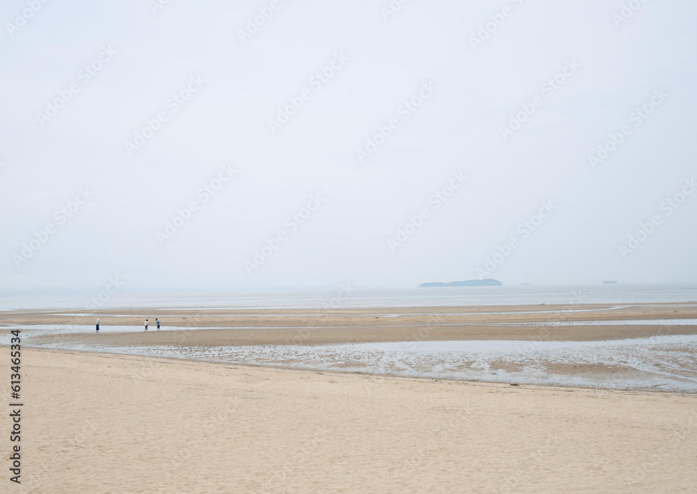 曇り空と干潮の広い砂浜に立つ人々