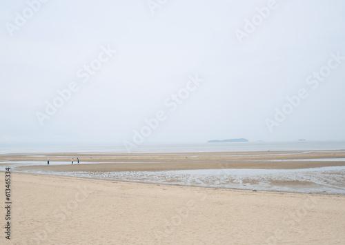 曇り空と干潮の広い砂浜に立つ人々 © IEPPEI