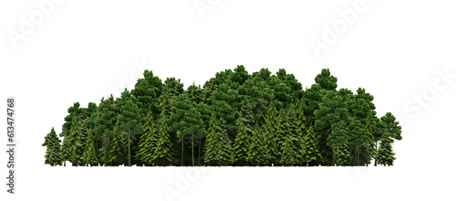 group of trees isolated on a transparent background  big trees in the forest  3D illustration  cg render 