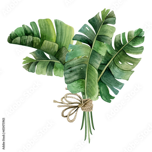 Tropical palm leaves of monstera or banana bouquet with rope bow watercolor illustration isolated on white background. Trendy boho style summer clipart