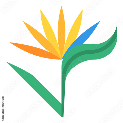 bird of paradise tropical flower nature summer