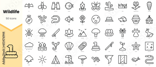 Set of wildlife Icons. Simple line art style icons pack. Vector illustration