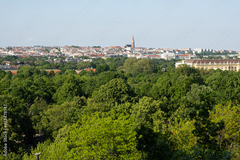 View of Vienna Austria, beautiful postcard forest and city