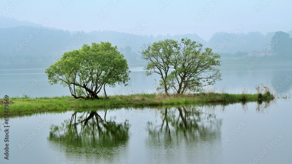 Obraz premium 반영 - 물과 나무