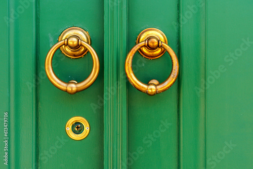 green door knocker and handle with brass detail