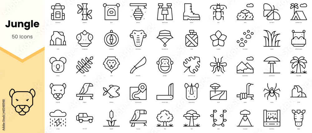 Set of jungle Icons. Simple line art style icons pack. Vector illustration