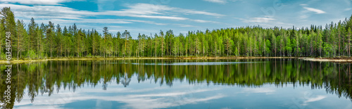 Spiegelung in einem Waldsee in Skandinavien