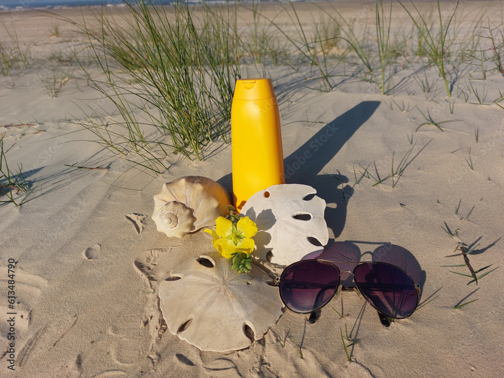 Obraz premium Pot of bronzer in the dunes with shells and sunglasses arou