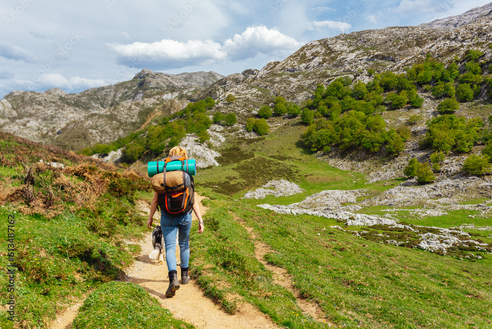 Hiker woman equipped with backpack, sleeping bags and bivouac mat, walking up the mountain in the Picos de Europa National Park, Asturias, Spain. Sport and outdoor adventure.