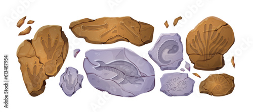 Fossil stones with dinosaur footprint, silhouettes of ancient plants and prehistoric animals skeletons. Archaeology and paleontology icons with print of dino foot and fish in rock, vector cartoon set