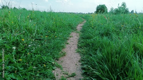 A path among the grass on a summer day 4k video