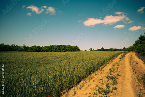 road in the field with sky