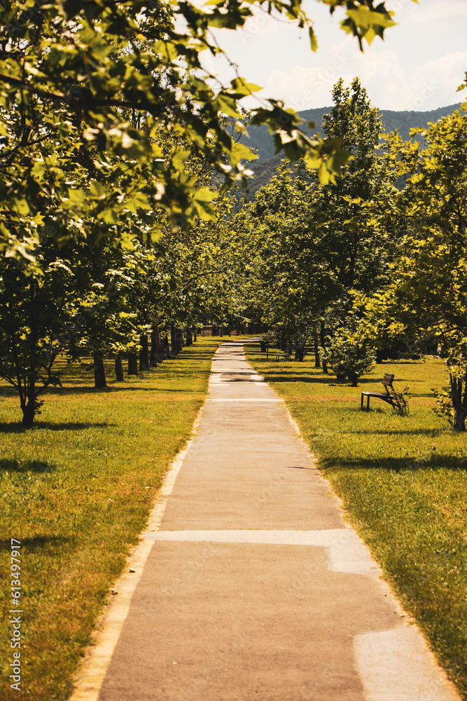 Naklejka premium autumn in the park