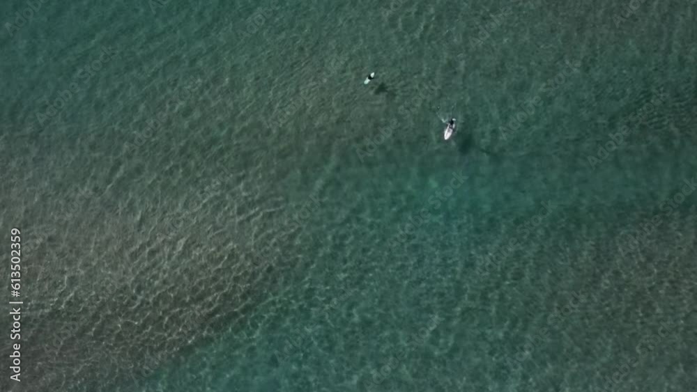 Aerial drone view of beautiful beach ocean with people playing and swimming with calm and peaceful ocean wave water Aerial drone view of beautiful beach ocean with people playing and swimming with calm and peaceful ocean wave water