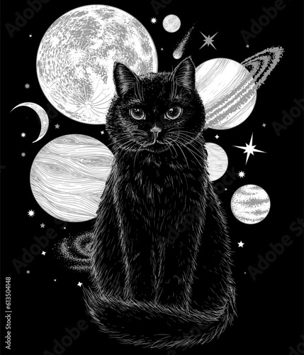 Vector illustration of a black sitting cat in engraving style on a background of space