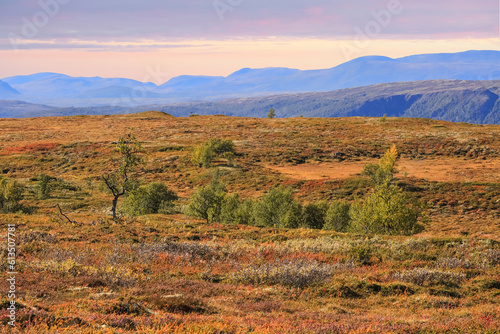Autumn in the Forollhogna National Park  Norway