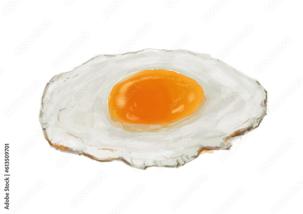 目玉焼き リアルイラスト 目玉焼き リアルイラスト