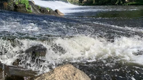 Fish jumping out of water. Iberian chub trying to get over weir in fast-flowing river.